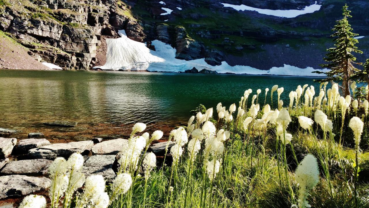 Dancing Bears Inn East Glacier Park Village Luaran gambar