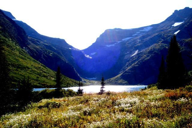 Dancing Bears Inn East Glacier Park Village Luaran gambar
